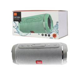 T&G WIRELESS BLUETOOTH TG-116 TF CARD/U DISK/AUXILIARY/FM RADIO 4.2 SPEAKER BOX SILVER T&G WIRELESS BLUETOOTH TG-116 TF CARD/U DISK/AUXILIARY/FM RADIO 4.2 SPEAKER BOX SILVER